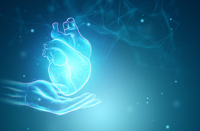 BASIC CARDIAC PROFILE